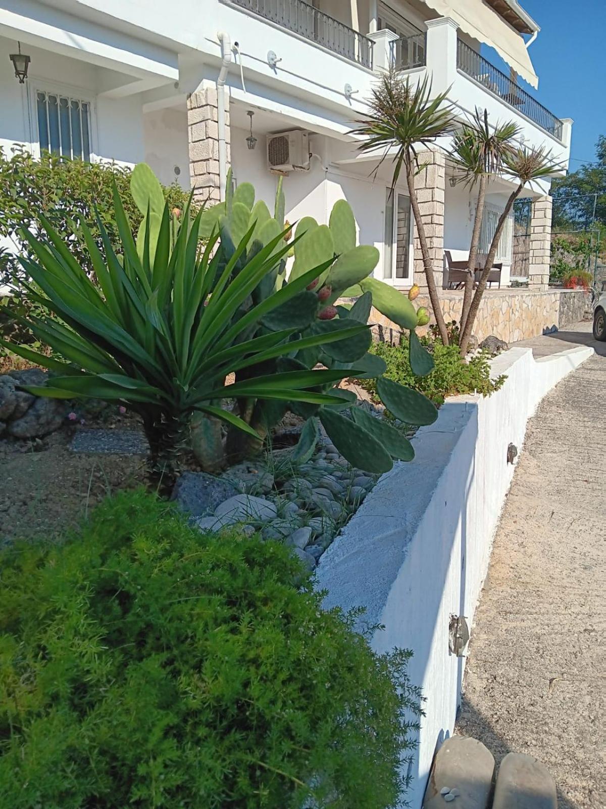 Appartement Bougainvillea Corfu  Esterno foto