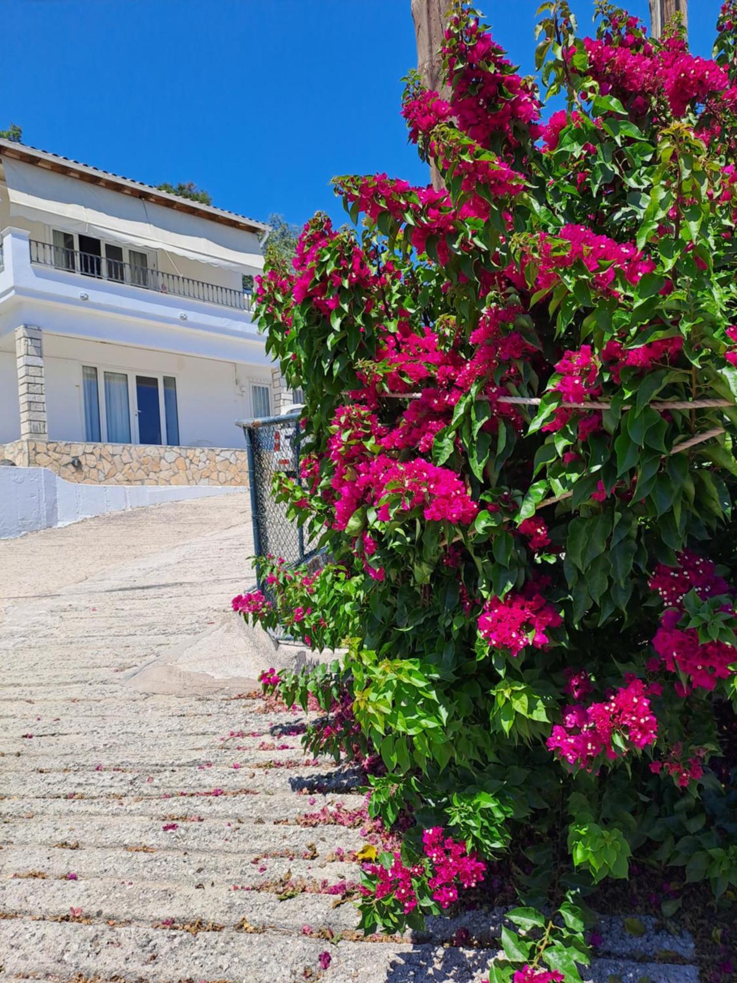 Appartement Bougainvillea Corfu  Esterno foto