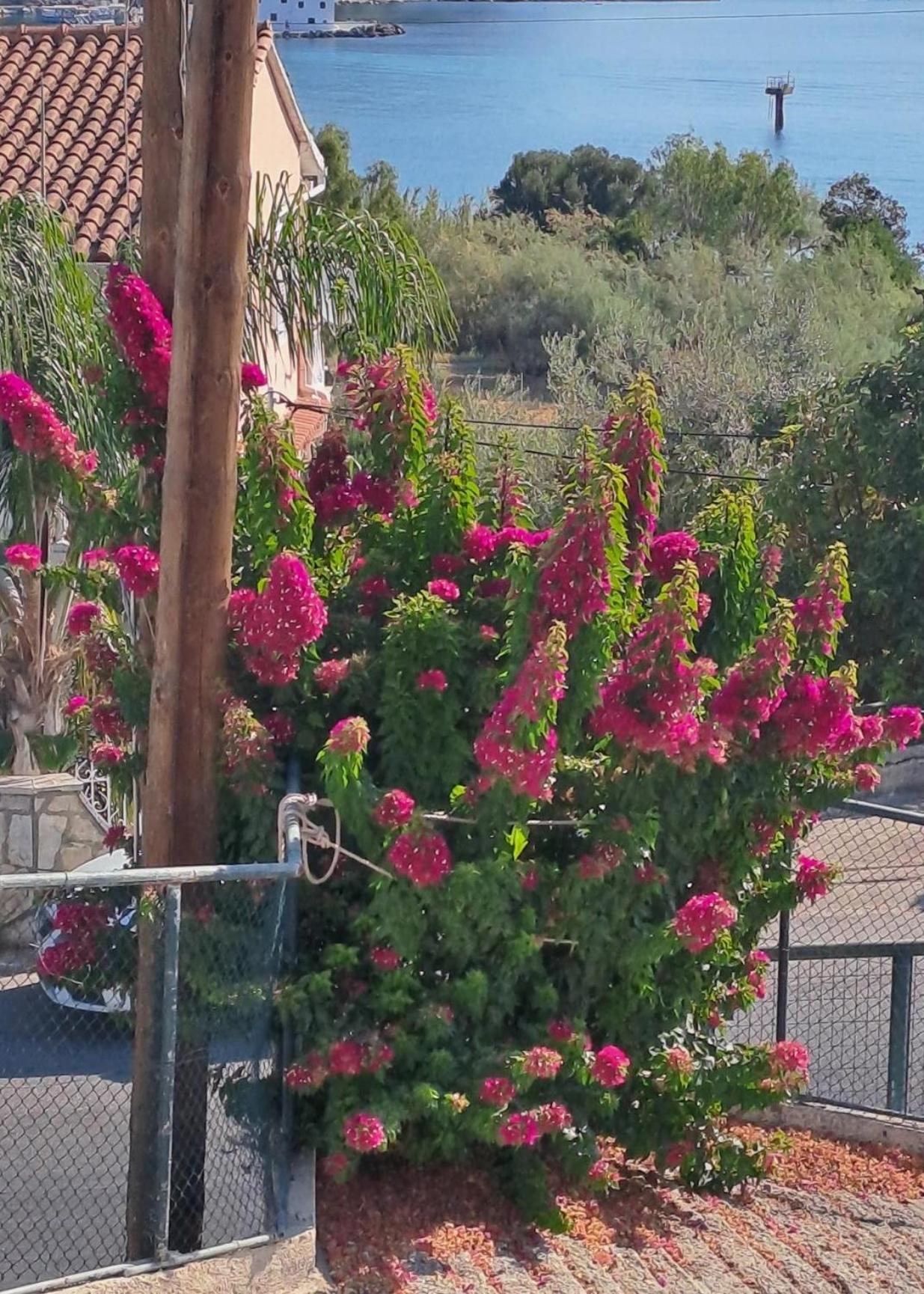 Appartement Bougainvillea Corfu  Esterno foto